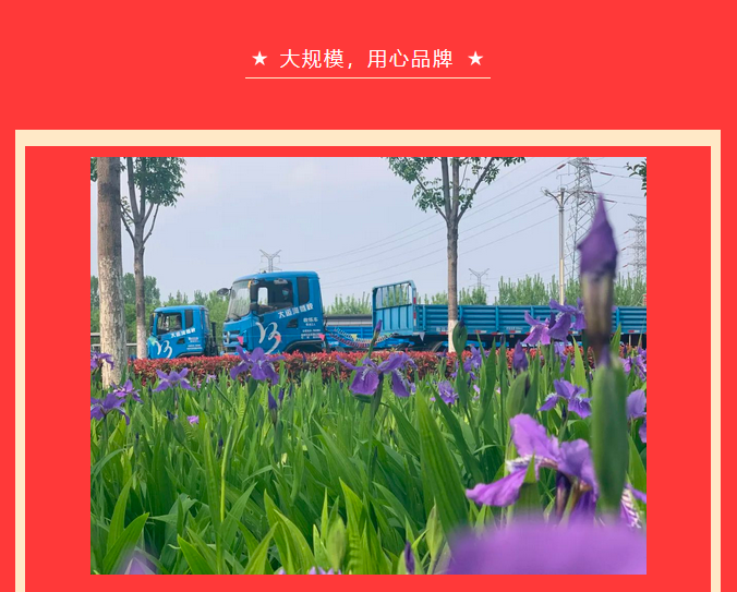 【濟寧大運河駕?！恐戮磩趧诱?，小車價學(xué)大車，報名就現(xiàn)在！ (圖3)