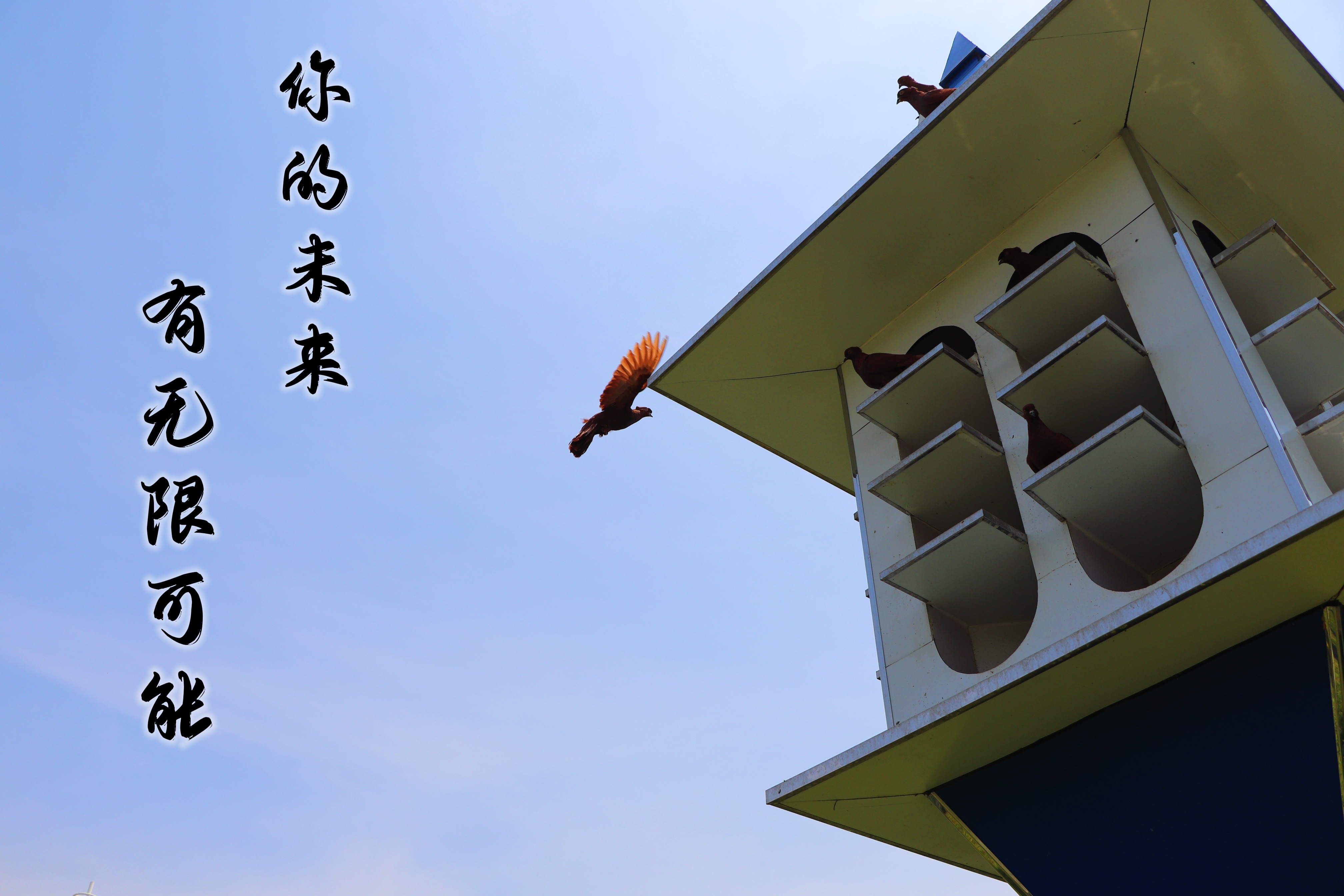 【濟寧大運河駕校】乾坤未定，超越自我無悔青春！(圖3)