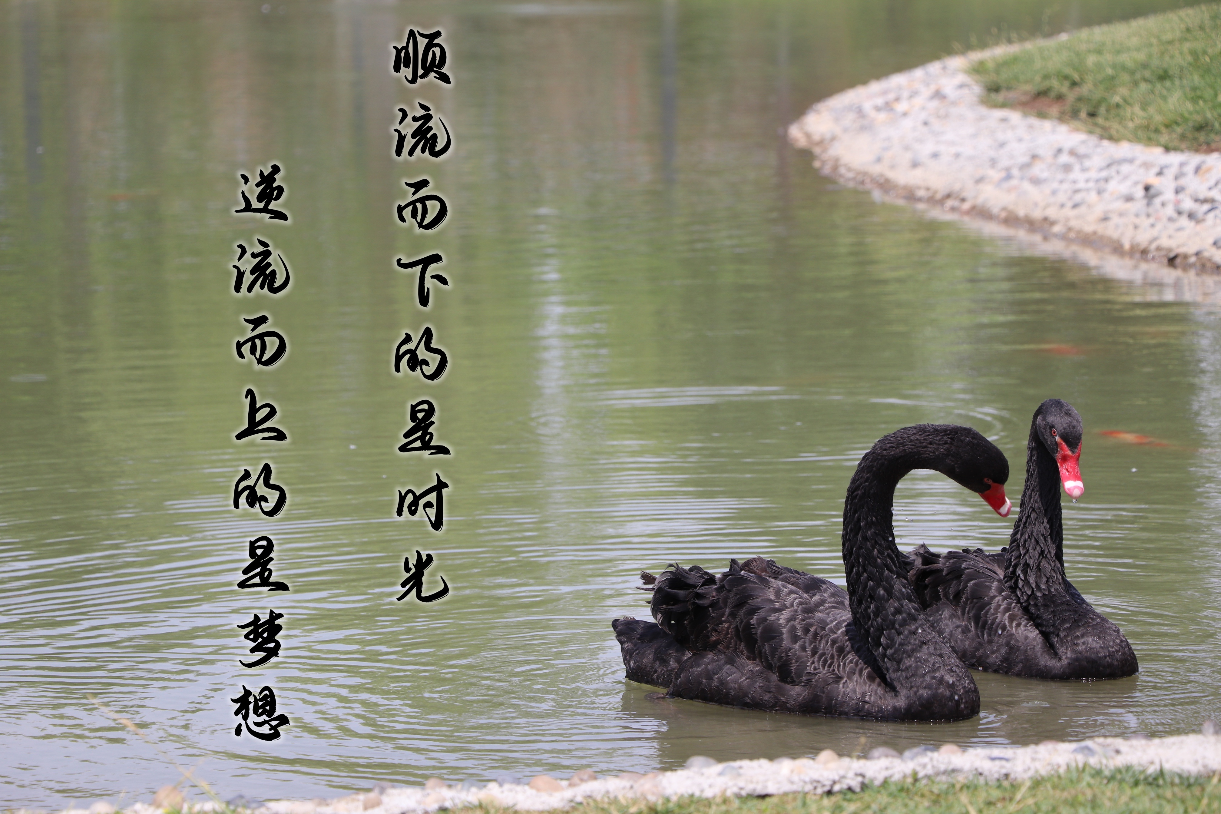 【濟寧大運河駕?！壳の炊?，超越自我無悔青春！(圖5)