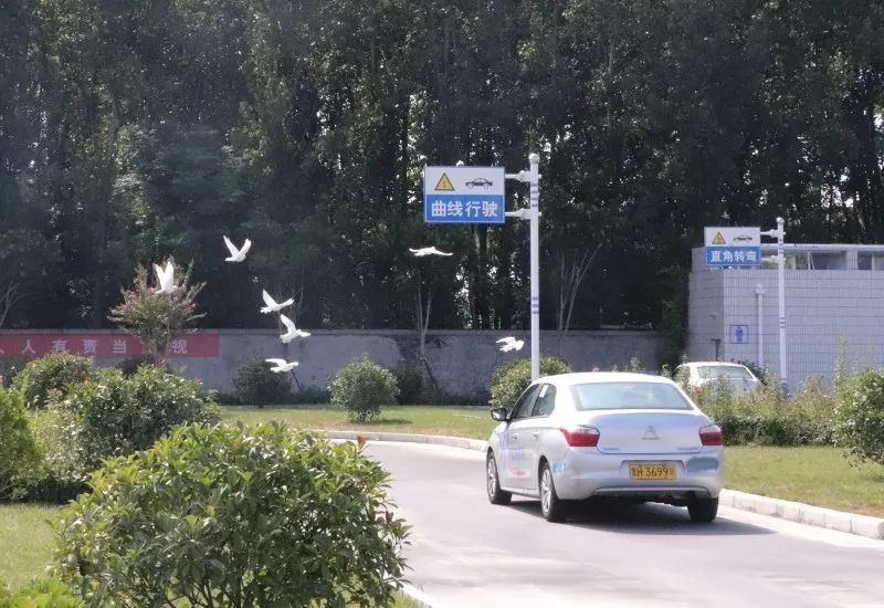 【濟(jì)寧大運(yùn)河駕?！拷鹎锞旁聦W(xué)車季，期待與您的相遇~(圖3)