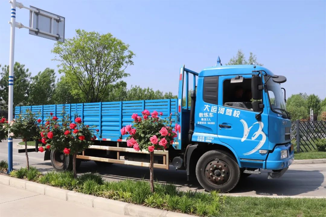 【濟寧大運河駕?！课逅那嗄旯?jié)丨致青春，充實自己，來學(xué)車！(圖3)