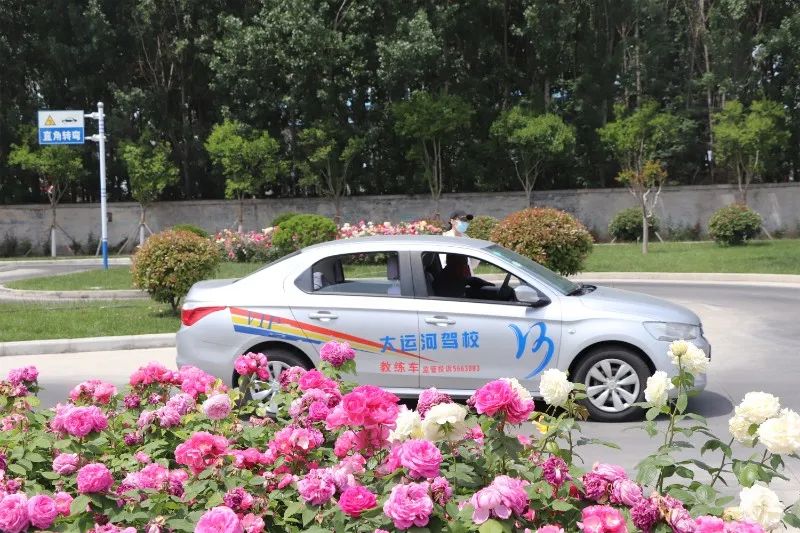 【濟(jì)寧大運(yùn)河駕?！磕赣H節(jié)丨感恩有您，陪我長大(圖2)