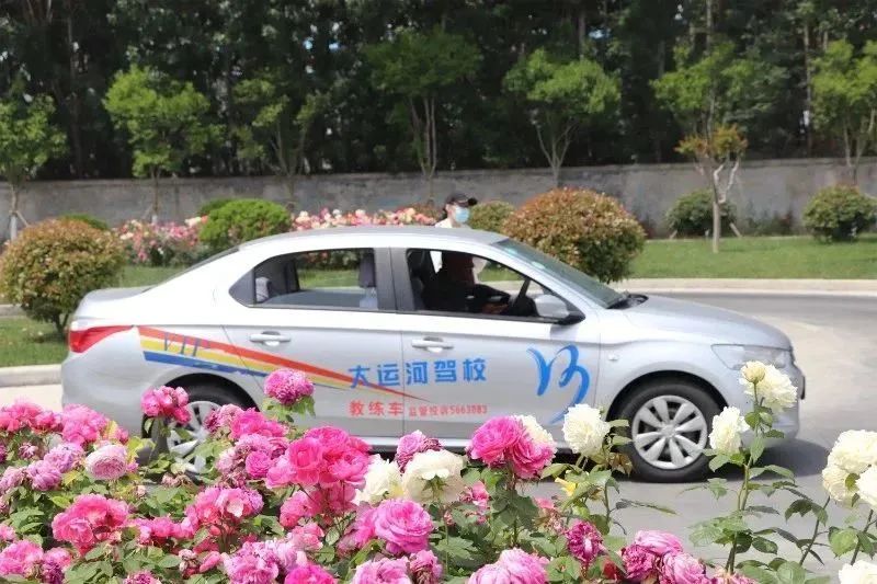 【濟(jì)寧大運(yùn)河駕?！康谑畬谩皩W(xué)車夏令營(yíng)”火爆開(kāi)啟！(圖2)