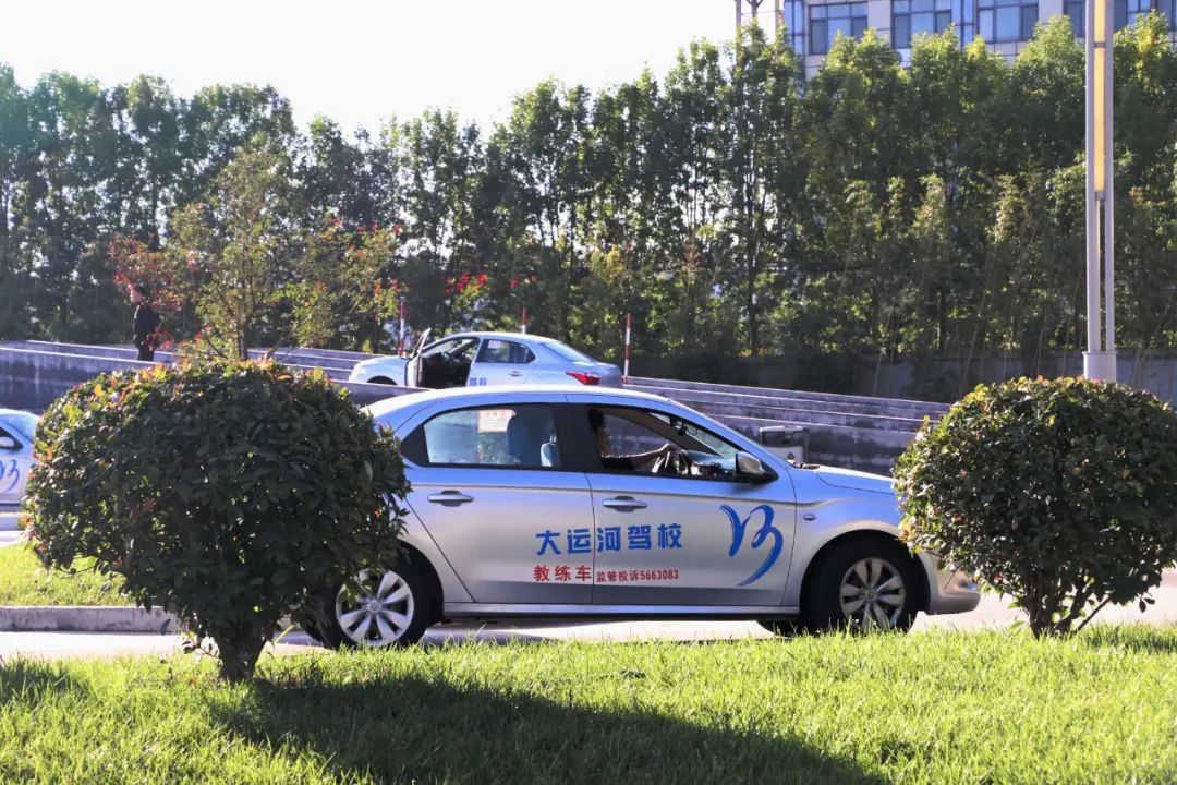 【濟寧大運河駕?！坎鸥型砬?，忽而立冬丨共賞校園初冬美景~(圖7)
