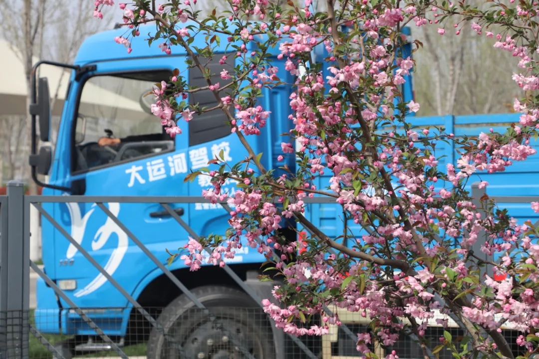 【濟寧大運河駕校】不負好春光，學(xué)車正當時！(圖2)