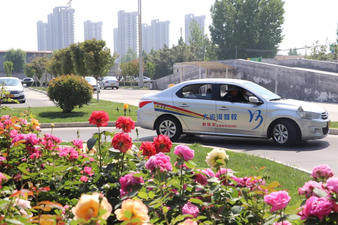 【濟(jì)寧大運(yùn)河駕校】“初夏”小美好，五月學(xué)車正當(dāng)時(shí)~(圖5)