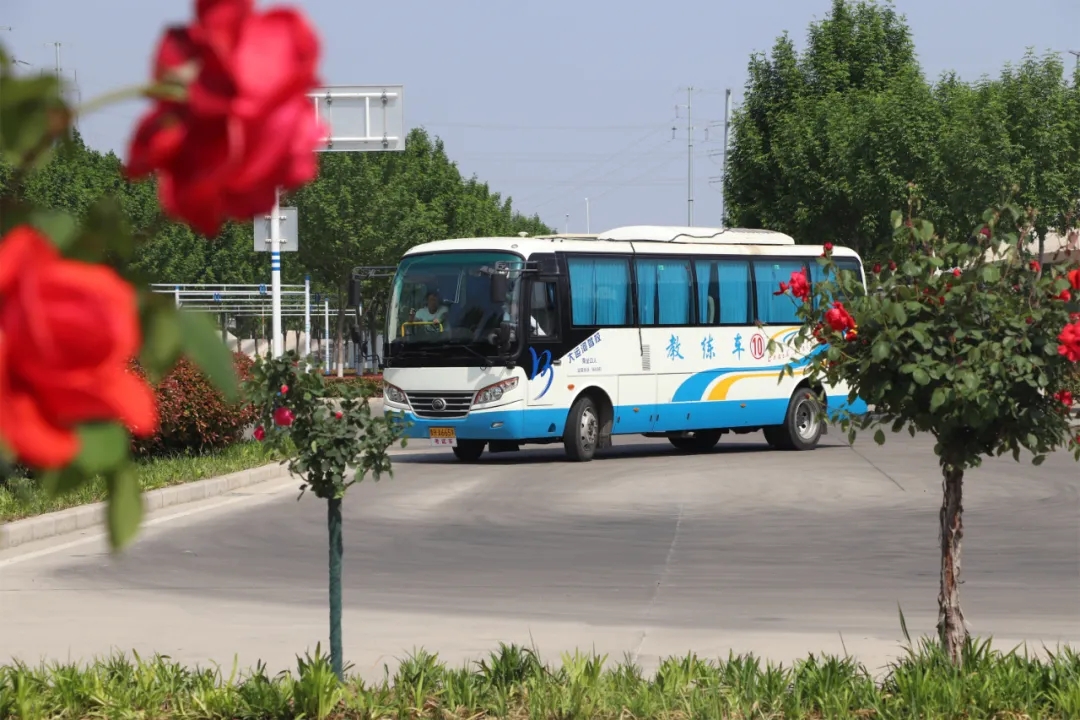 【濟(jì)寧大運(yùn)河駕?！俊俺跸摹毙∶篮茫逶聦W(xué)車正當(dāng)時(shí)~(圖7)